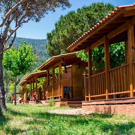 Hôtel Camping El Pasqualet à Caldes De Montbui Extérieur photo